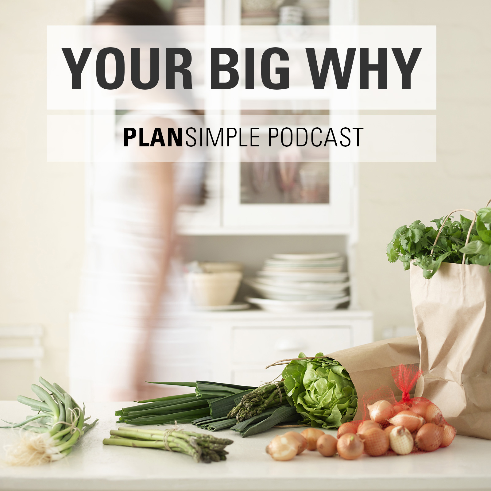Plan Simple : Why