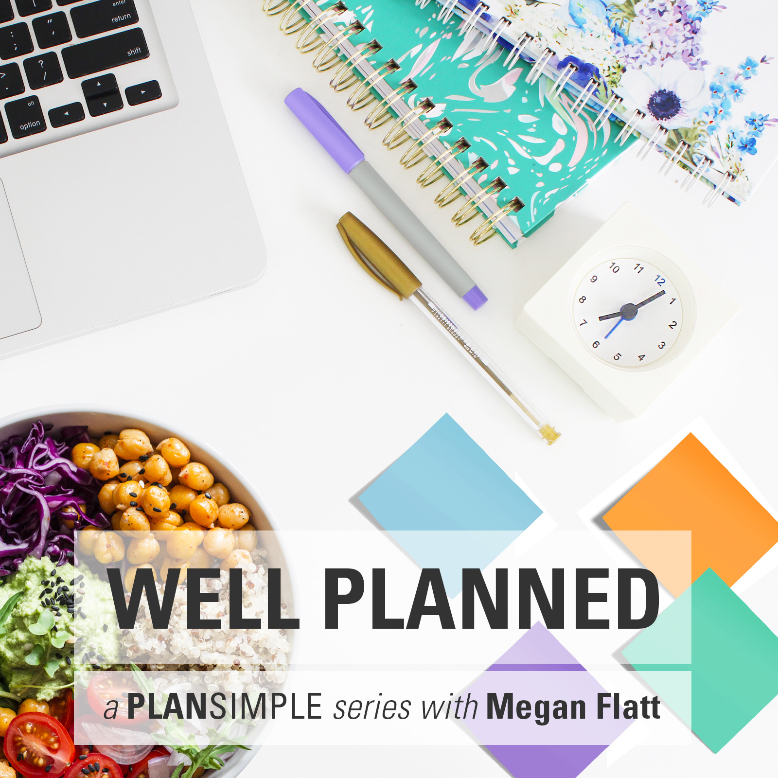 Well Planned in 90 Days Cycles  with Megan Flatt