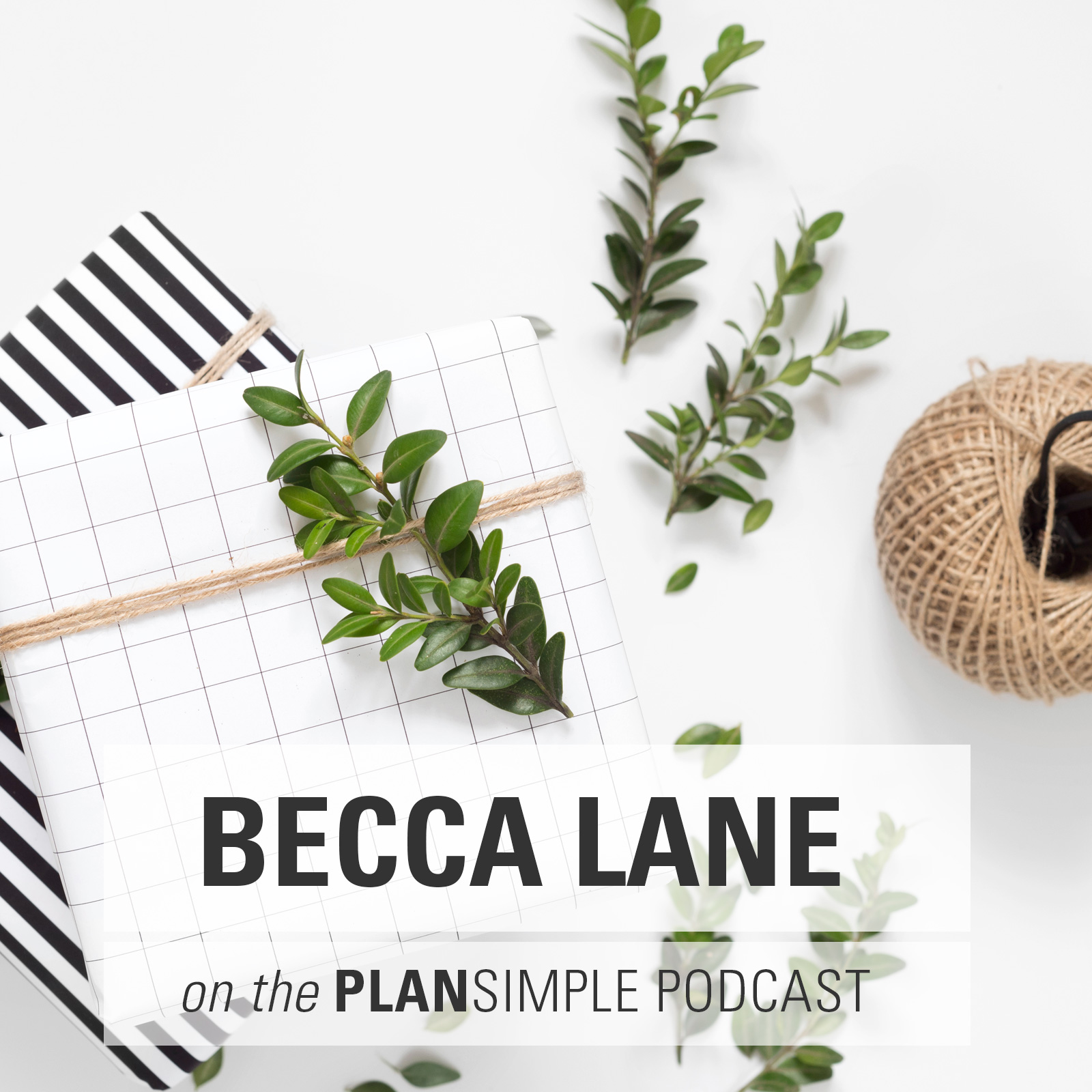 Simplifying Toys with Becca Lane