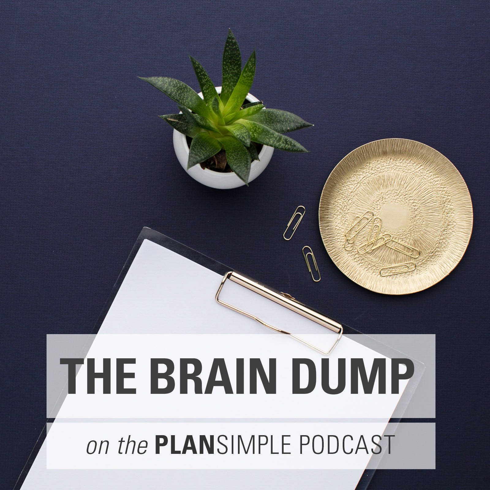 What to Do with the Brain Dump