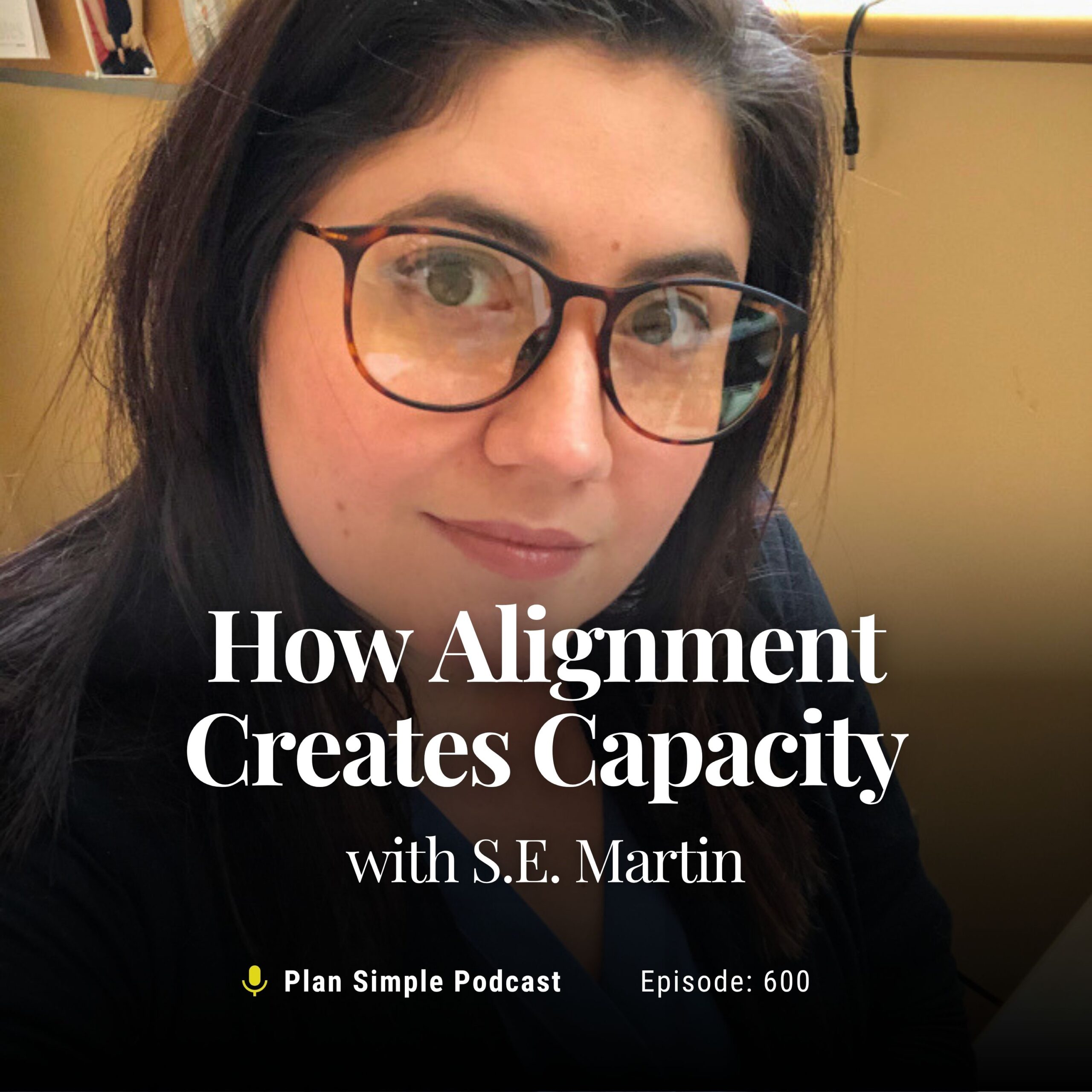 How Alignment Creates Capacity with S.E. Martin